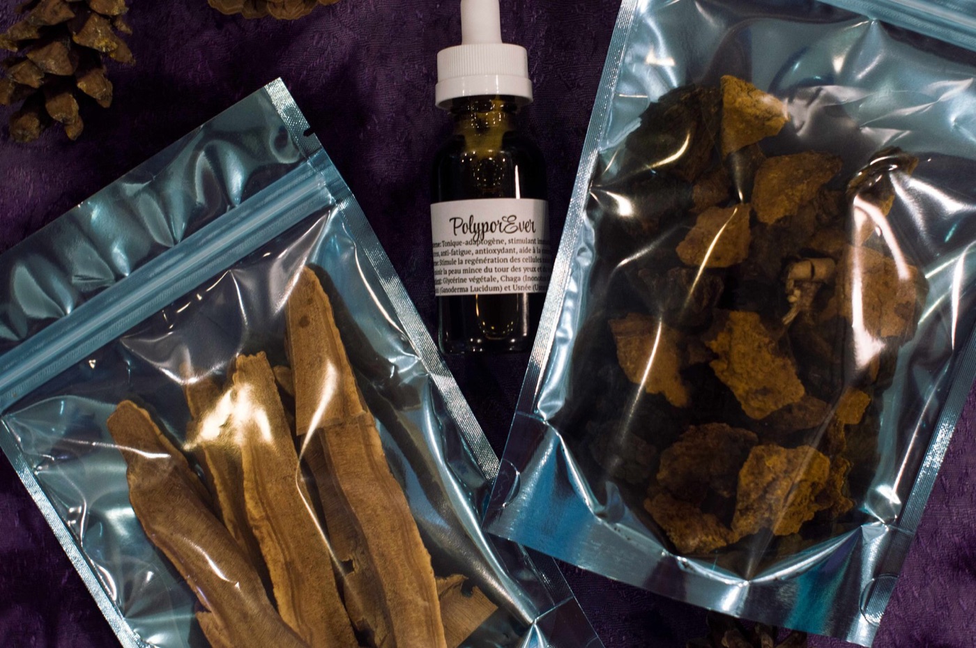 Kit « Forêt boréale »