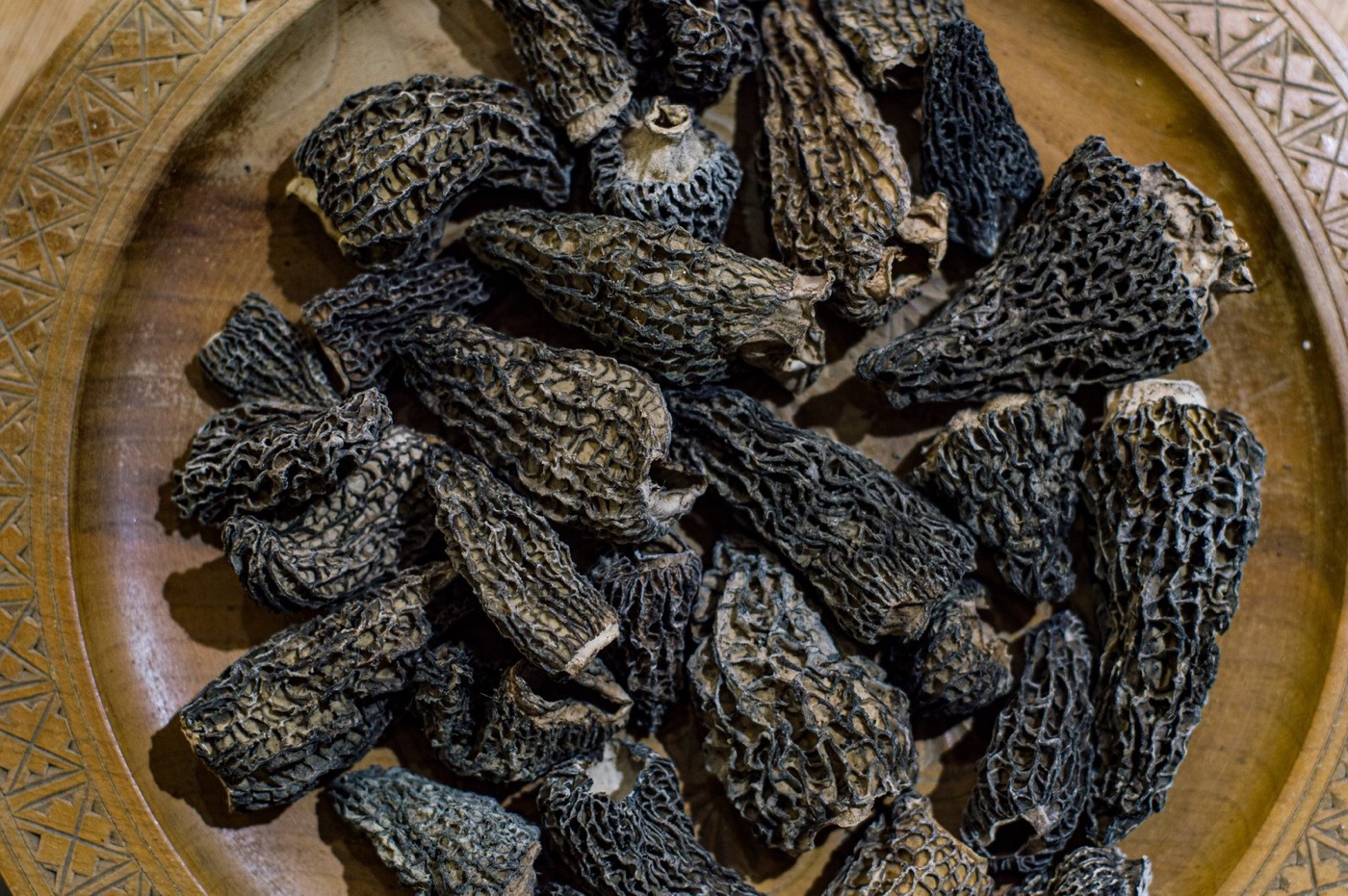 Morilles de feu