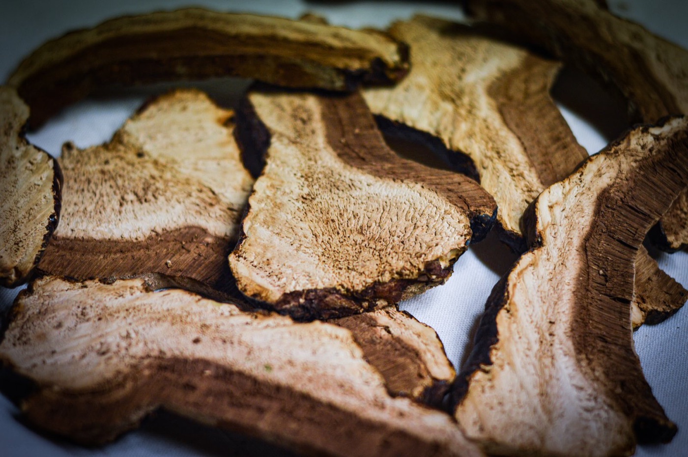Reishi séché